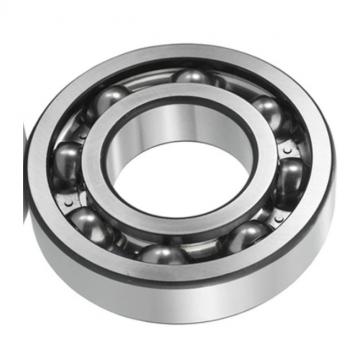 JRDB high quality cylindrical roller bearing NU 316 stainless bearing